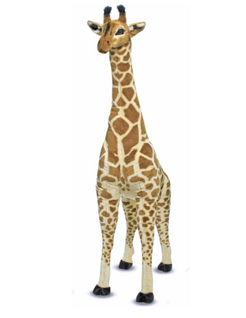 Baby Girafa